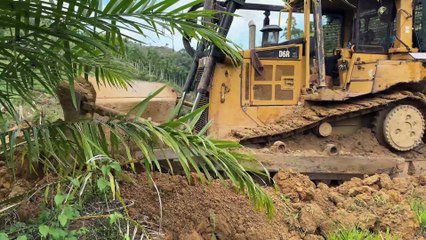 The Plantation Road Lasts Longer Thanks to the D6R XL Bulldozer