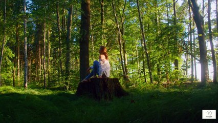 Ashwagandha – Stress Reduction and Cognitive Support for Seniors 🌿🧠