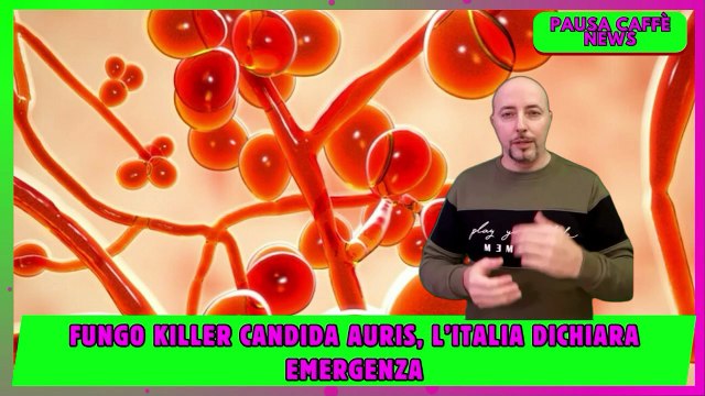 Fungo killer Candida auris, l’Italia dichiara emergenza