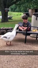 That friendship took a turn