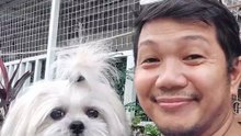 🔴 A SATURDAY WALK WITH PICKLES #shihtzu