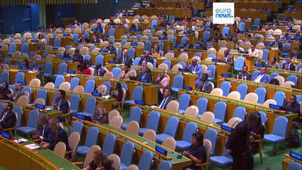 UN-Generalversammlung befürwortet Zweistaatenlösung für Israel und Palästina