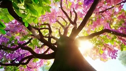 l'eau c'est la vie !