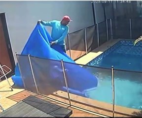 Piscineiro salva cão cego que se afogava em piscina de casa em Goiânia