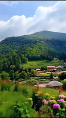 Amazing Natural View