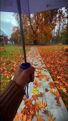 🍁 Whispers of  Autumn 🍁