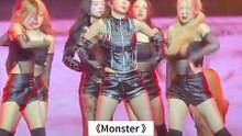 IRENE & SEULGI 绝美舞蹈 ! 《Monster》炸翻全场