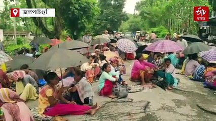 বোনাসের দাবিতে রাস্তা অবরোধ, আন্দোলনে চুনাভাটির চা শ্রমিকরা