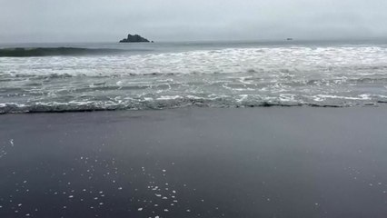 러시아 캄차카반도 해역에서 또 7.4 강진..."쓰나미 위험 없어" / YTN