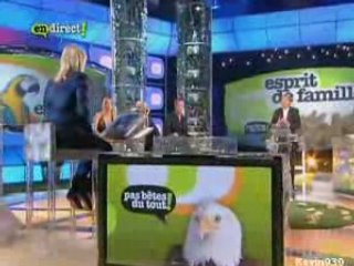 Eve Angeli [FUN] Pas bêtes du tout - 17.05.08