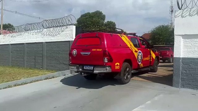 Bombeiros e cães reforçam buscas por desaparecidos em Icaraíma neste sábado