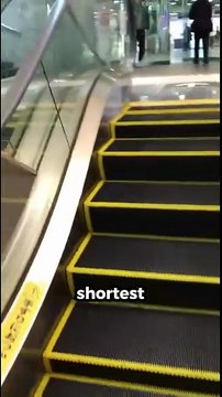 5 amazing facts about Japan #facts #amazingfacts #japan #japanese #shorts #viral #trending