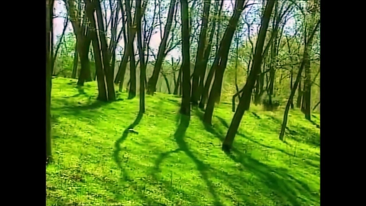 Ishte koha për dashuri (2004)