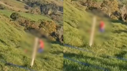 Menor que recibía golpizas de su padre fue rescatado en Antioquia