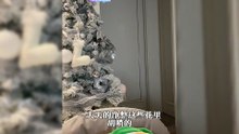 美女