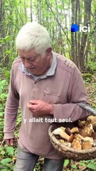 Cette famille en Dordogne cueille les cèpes depuis cinq générations