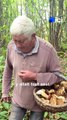 Cette famille en Dordogne cueille les cèpes depuis cinq générations