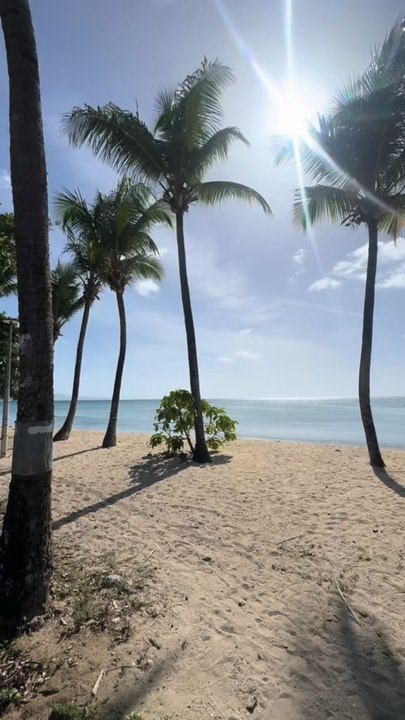 La plus belle plage de Guadeloupe ?Plage du souffleur, Port Louis, Guadeloupe