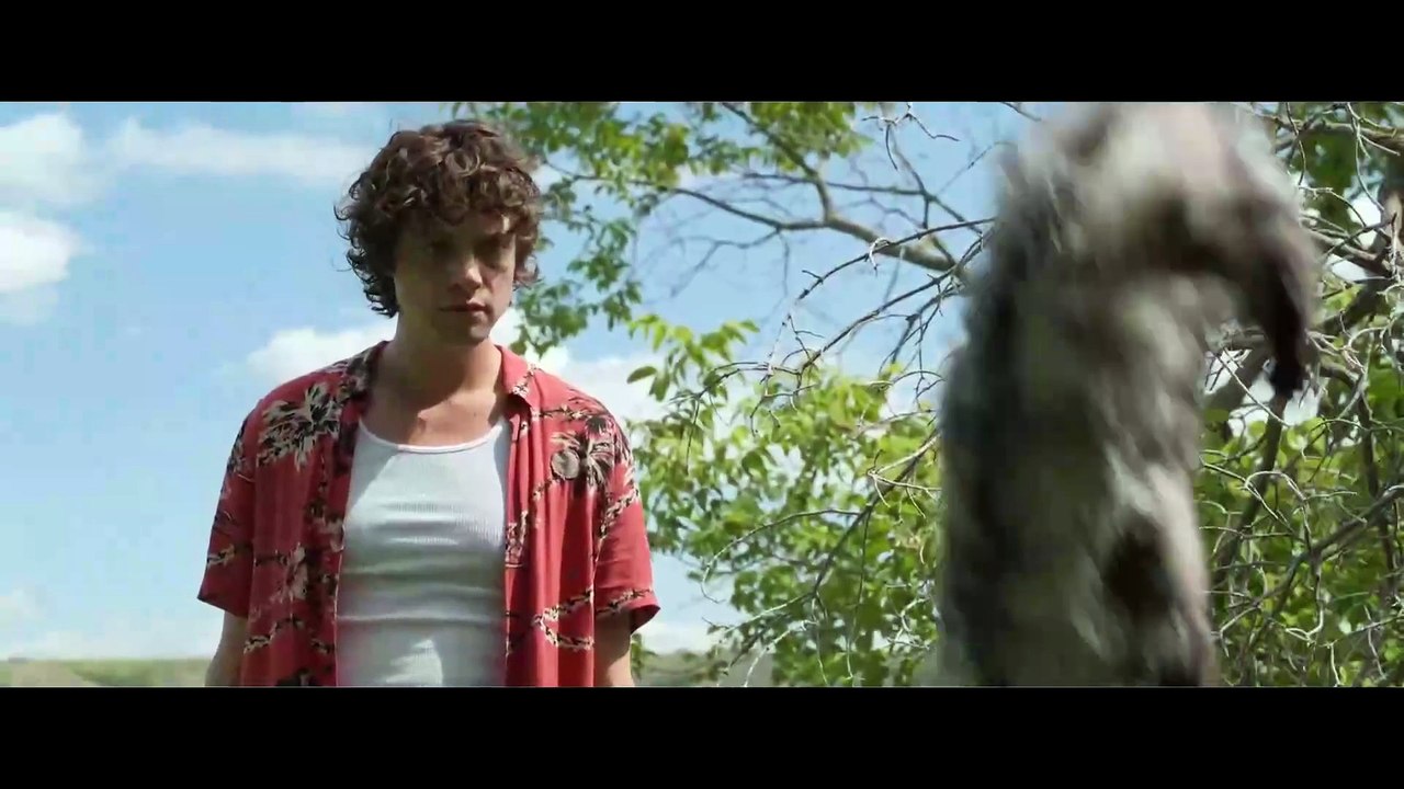 Die Alone: 2024 Hollywood Movie 1080p Full HD