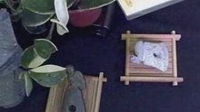 鳥玦斧鋤器 Ｃ1 三星堆珍寶 玉而富