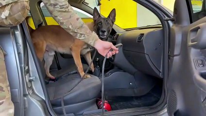 PRF prende trio com haxixe escondido em carro na BR-277 em Campo Largo