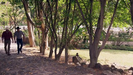 Monteverde Capitulo 65