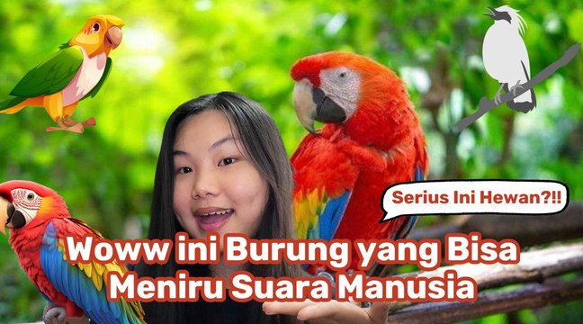 Burung yang Bisa Menirukan Suara Manusia-Serius Ini Hewan?