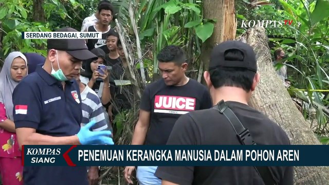Geger! Penemuan Kerangka Manusia Dalam Pohon Aren, Polisi Lakukan Otopsi dan Periksa 8 Saksi