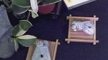 玉珠璧 Ｃ2 三星堆珍寶 玉而富