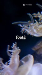 How Jellyfish Sense & Navigate Without a Brain 🌊 | Nature’s Mystery