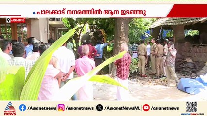 പാലക്കാട് ഇടഞ്ഞ ആനയെ തളയ്ക്കാനായില്ല; ആന പുറത്ത് കുടുങ്ങിയ മൂന്ന് പേരും രക്ഷപ്പെട്ടു
