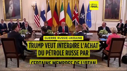 Guerre en Ukraine : Trump veut interdire l'achat de pétrole russe par des membres de l'OTAN