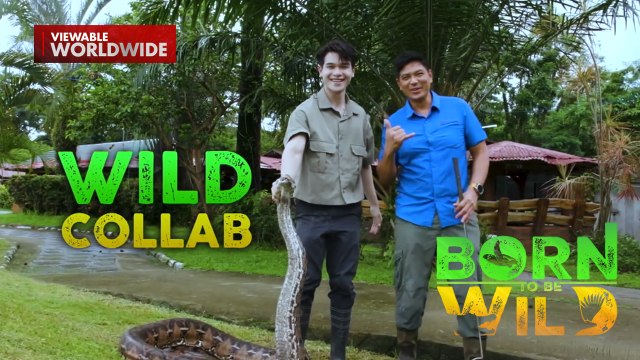 Wild collab nina Doc Nielsen Donato at Vince Maristela sa Laguna Rescue Center | Born to Be Wild