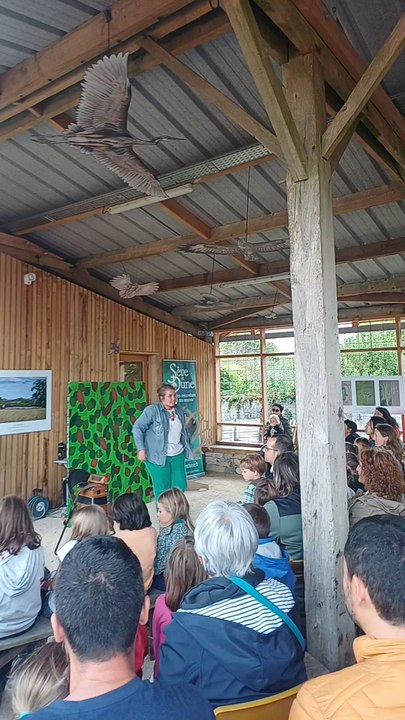 spectacle enfant et adultes dans la forêt
