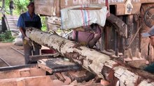 Turning Coconut Trees into 5x10 Lumber with a Sawmill