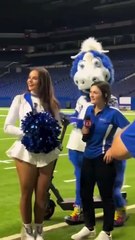 Etre une mascote c'est fun en vrai