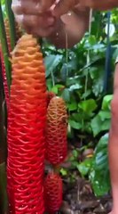 Champoing naturel, il est connecté avec la nature