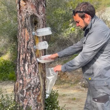 BIZARRE : des matériaux naturels dont vous n'avez jamais entendu parler ! Les matériaux naturels dont vous n'avez jamais entendu parler 🍄✨✨