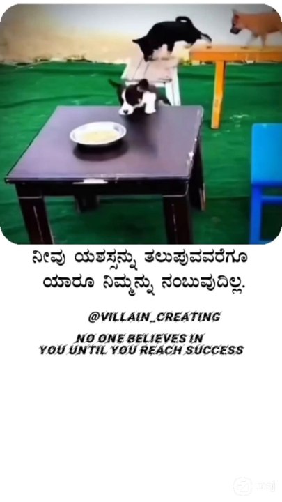 #motivation#quotes#kannadaqoutes#krishna#kannada#youtubeshors#status#morningstatus#facts#life#sad
