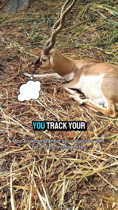 Do you also track your steps?