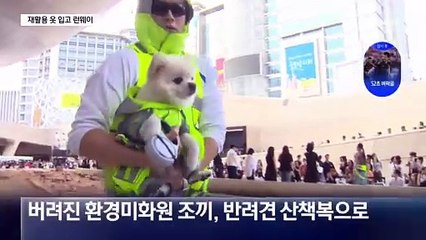 ‘환경 보호’ 외친 반려견?…100마리의 패션쇼