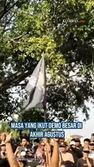 Simbol bendera One Piece