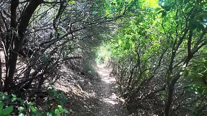 Dal Portogallo alla Sicilia a piedi: i "3740 Km" di Mauro Mondello