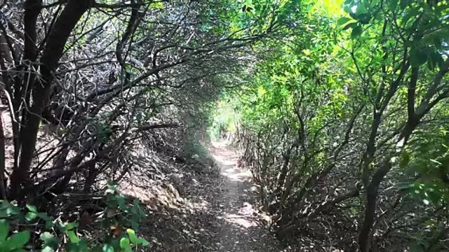 Dal Portogallo alla Sicilia a piedi: i 3740 Km di Mauro Mondello