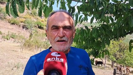 Ardanuçlu besici Bozkurt: Hayvancılığı bırakma noktasına geldik