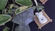 双獸首斧鋤器 Ｃ9 三星堆珍寶 玉而富