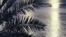 218714_tiny