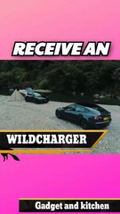 WildCharger - A Device That Upgrades Your Tesla Experience