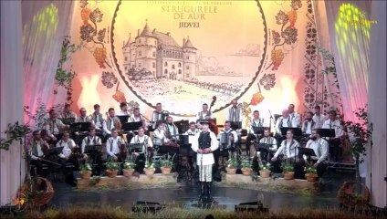 Andrei Tarziu - Festivalul National „Strugurele de aur” - Blaj - 03.09.2025