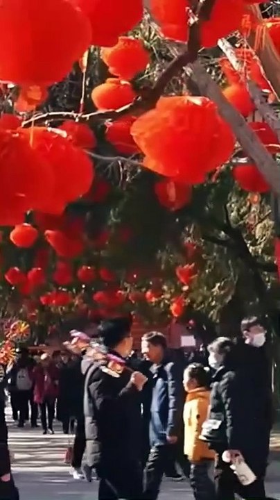 The Wife Who Claimed Her Life